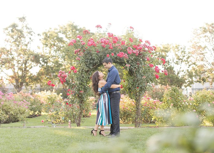 Municipal Rose Garden Stefanie + Jeremy // San Jose Municipal Rose Garden Engagement ... photo