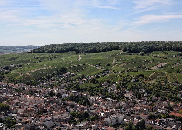 Georges Cartier Champagne House Visit Epernay: 2024 Travel Guide for Epernay, Grand Est | Expedia photo