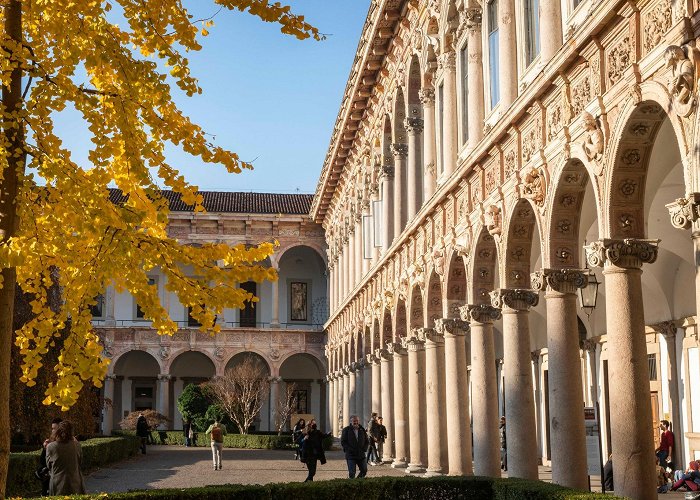 University of Milan My experience at Milan University with a full scholarship photo