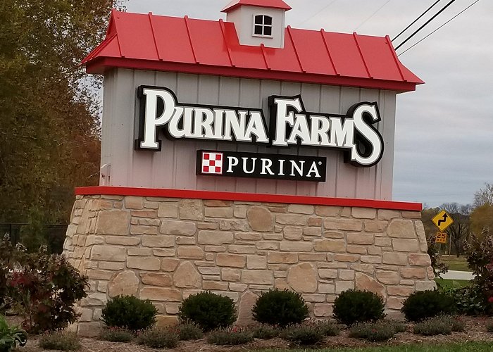 Purina Farms ESSFTA 2024 National Specialty photo