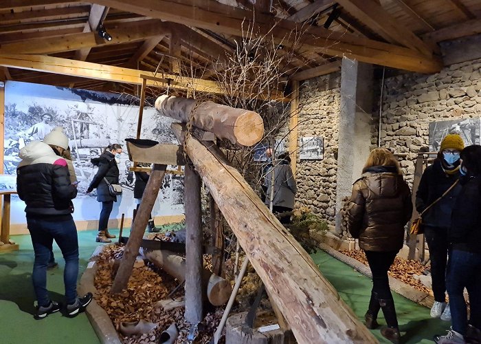 Musée Fourme and Traditions Museum - Livradois Forez photo