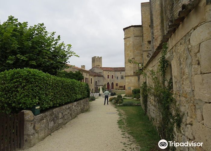 Musée La Halte du Pélerin Top 10 Things to Do in Castelnau-d'Auzan in February (Updated 2024 ... photo