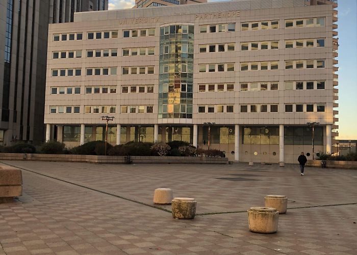 Parthenope University of Naples Home Page photo