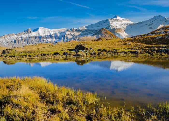 Isenau Small pond by the Col d'Isenau - Les Diablerets, VD [OC][3775x2500 ... photo