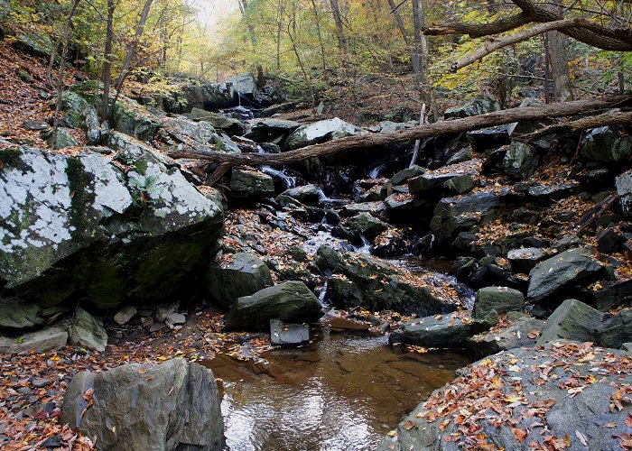 Langley Oaks Park Dead Run Loop (Turkey Run Park, VA) – Live and Let Hike photo