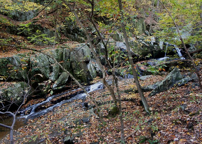 Langley Oaks Park Dead Run Loop (Turkey Run Park, VA) – Live and Let Hike photo