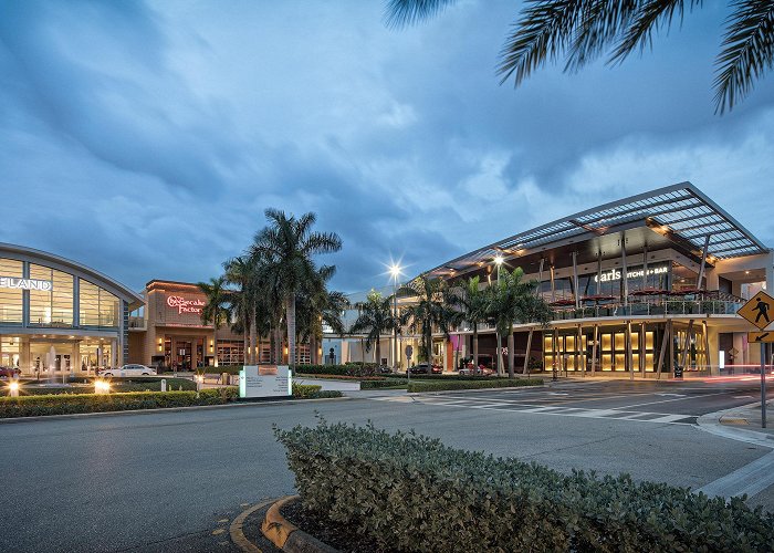 The Falls shopping mall 11 Best Malls in Miami for Shopping and People Watching photo