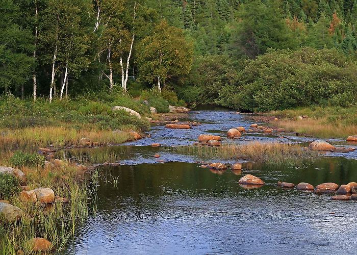 Terra Nova National Park Other Trails | Hike | Damnable Trails photo