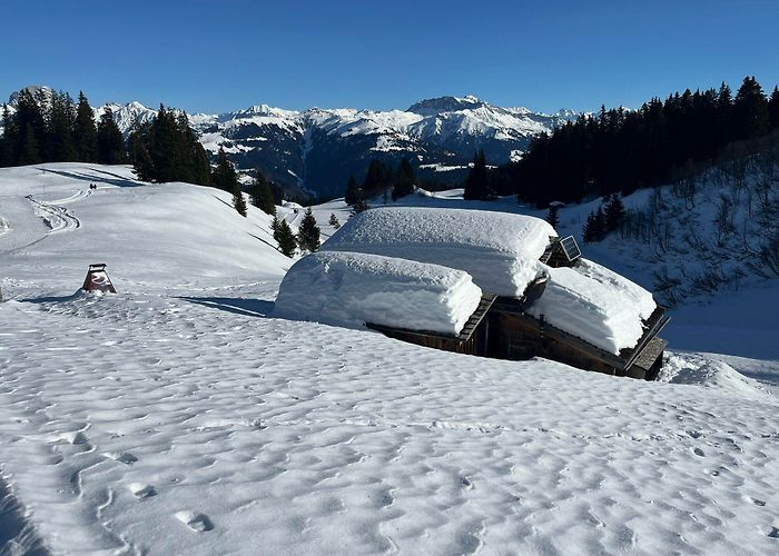 Cavadura-Schwänzelegg Schwänzelegg - BERGFEX - Wanderung - Tour Graubünden photo