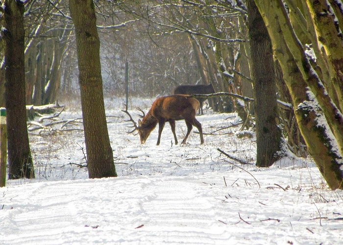 Almeerderhout Golfclub Almere, The Netherlands: All You Must Know Before You Go (2024 ... photo