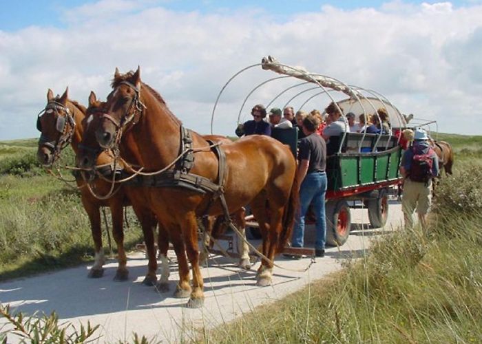 Terschelling VVV Excursions on Terschelling | Book your excursion online now | VVV ... photo