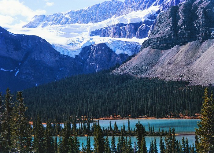 Crowfoot Glacier Crowfoot Glacier, Canada | QUT Digital Collections photo