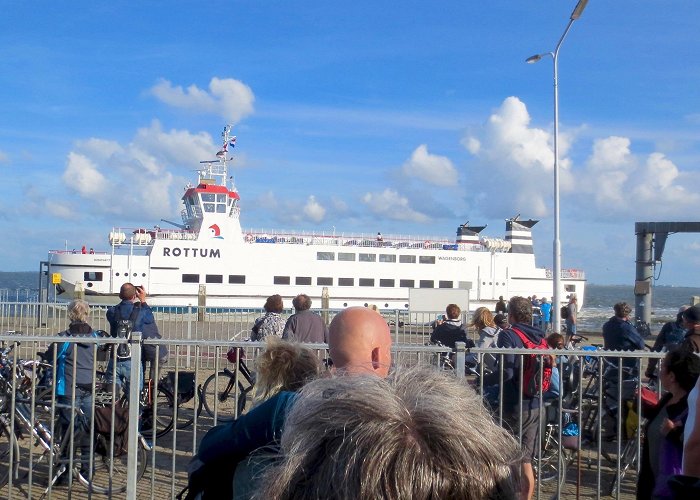 Marina Schiermonnikoog Schiermonnikoog Ferry Terminal Tours - Book Now | Expedia photo