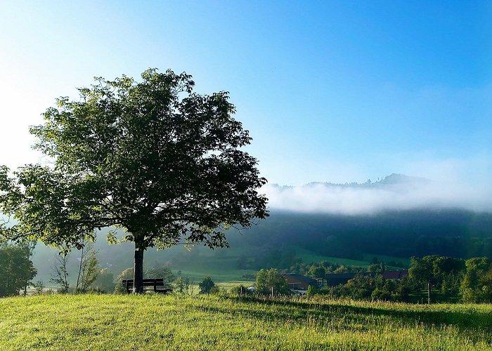 Rohrdorf (Bavaria) photo