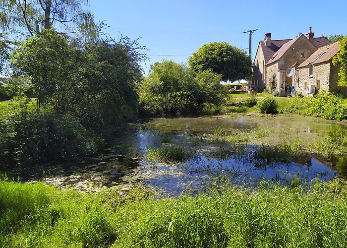 Sauvigny-le-Bois photo