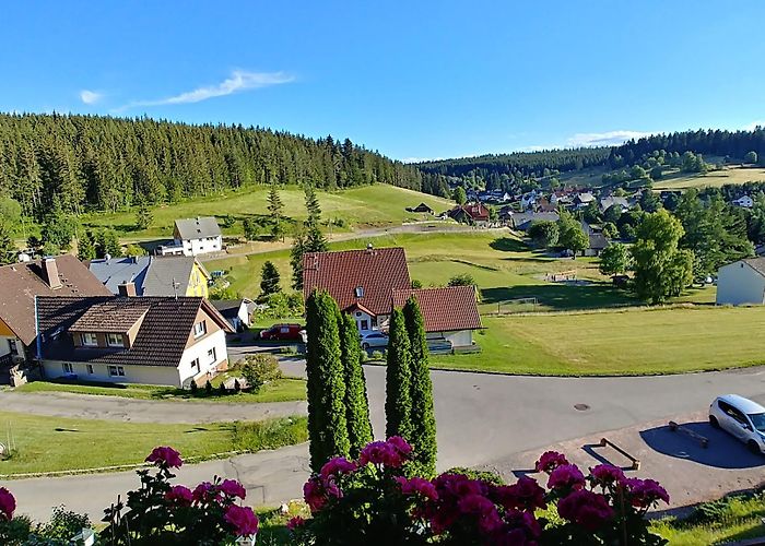 Eisenbach (Breisgau-Hochschwarzwald) photo