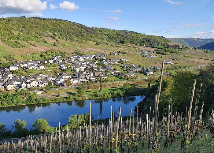 Burg (Bernkastel-Wittlich) photo