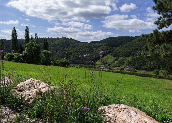 Burg (Bernkastel-Wittlich) photo