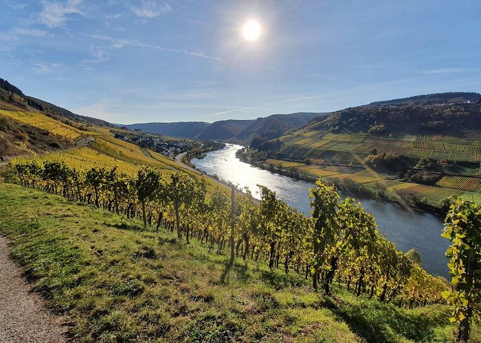 Burg (Bernkastel-Wittlich) photo