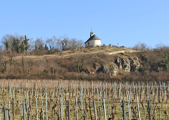 Ilbesheim bei Landau in der Pfalz photo