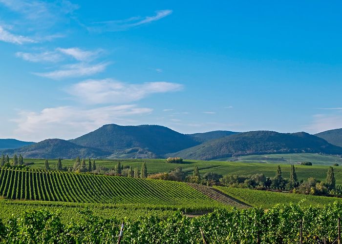 Ilbesheim bei Landau in der Pfalz photo