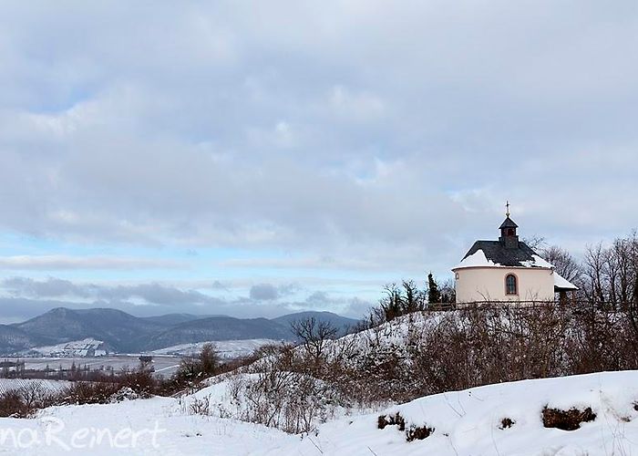 Ilbesheim bei Landau in der Pfalz photo