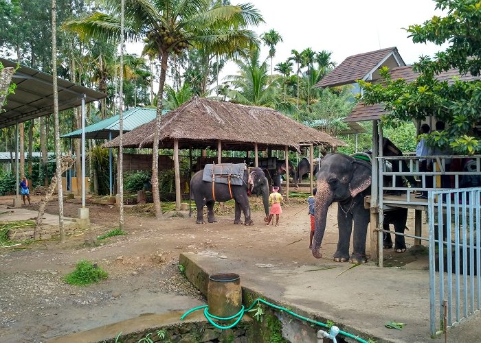 Thekkady photo