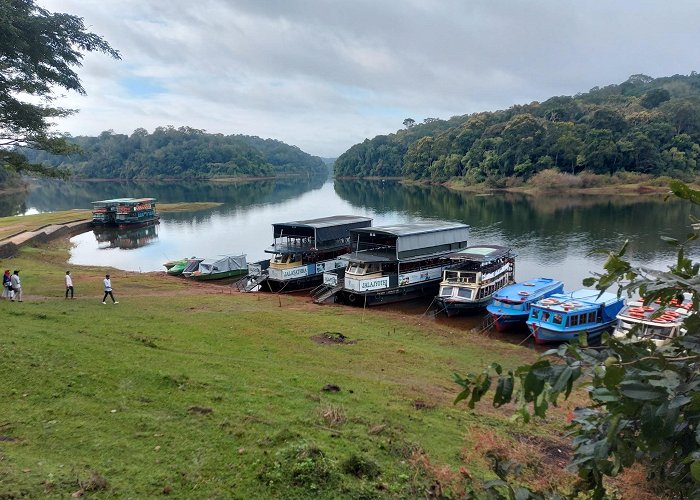 Thekkady photo