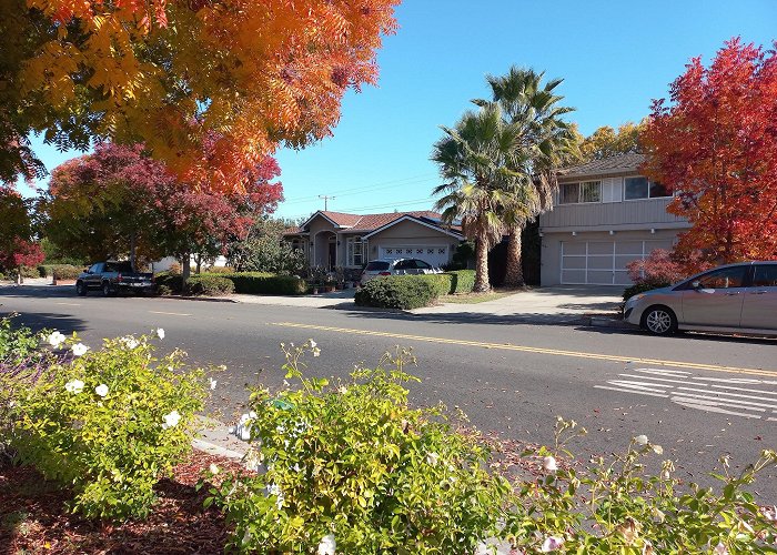 Sunnyvale photo