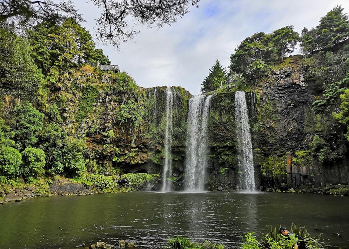 Whangarei photo