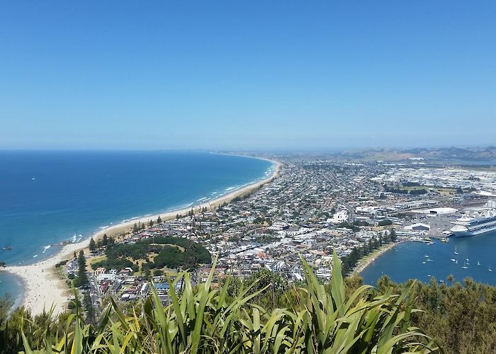 Mount Maunganui photo