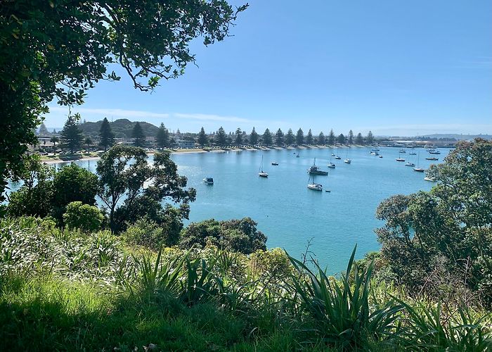 Mount Maunganui photo