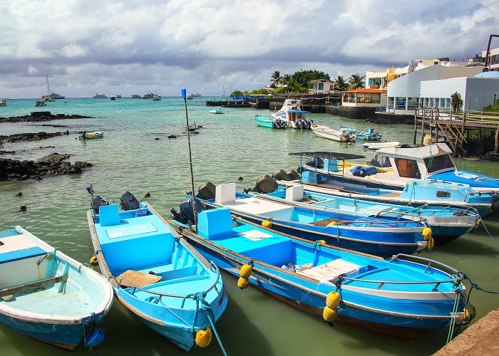 Puerto Ayora (Galapagos Islands) photo