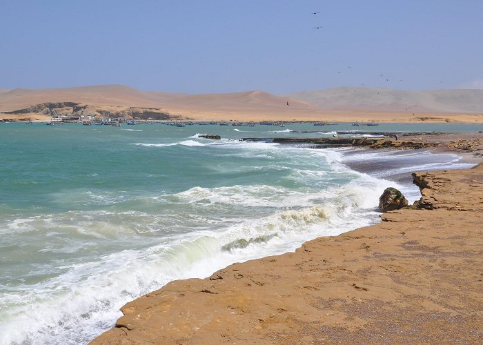 Paracas photo