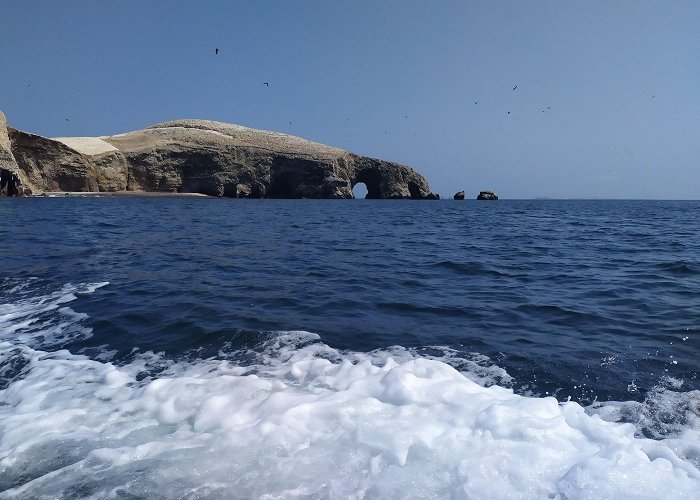 Paracas photo