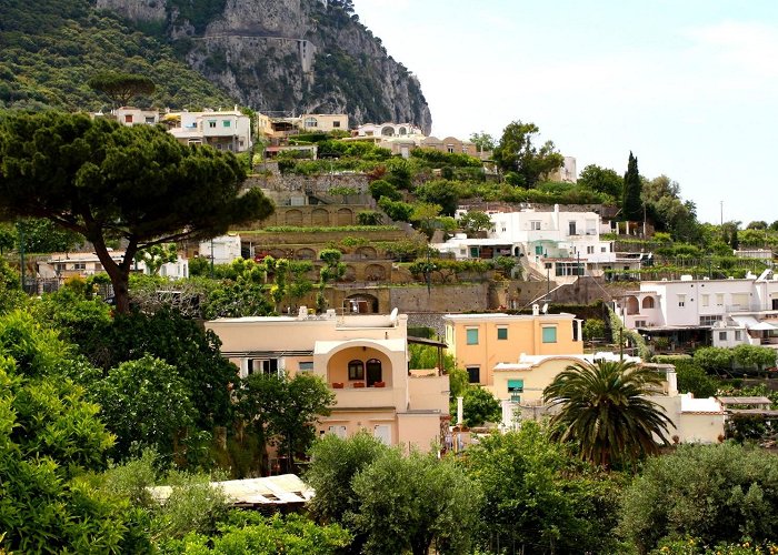 Anacapri (Isola di Capri) photo