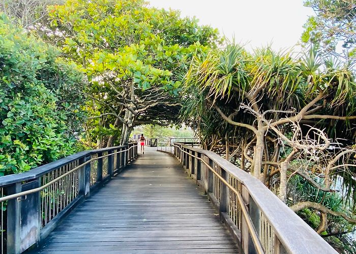 Coolum Beach photo