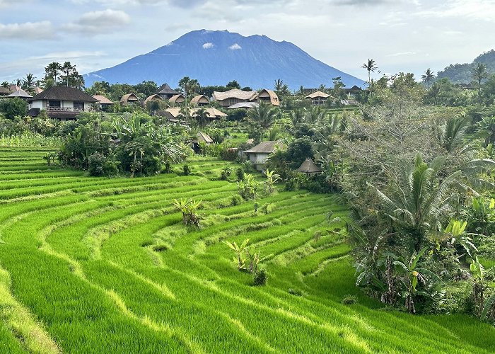 Sidemen (Bali) photo