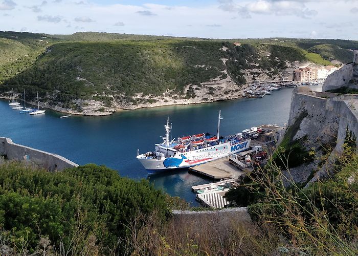 Bonifacio (Corsica) photo