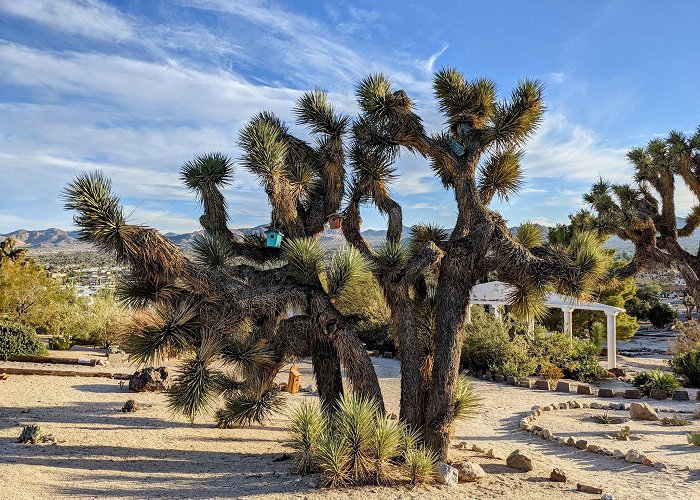 Yucca Valley photo