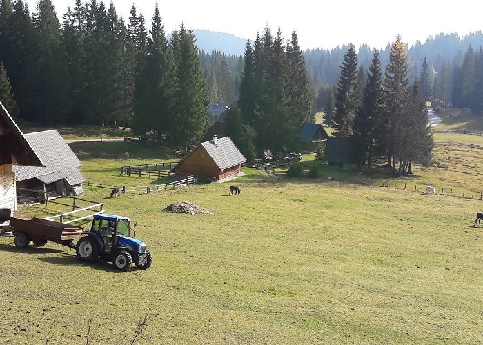 Bohinj photo