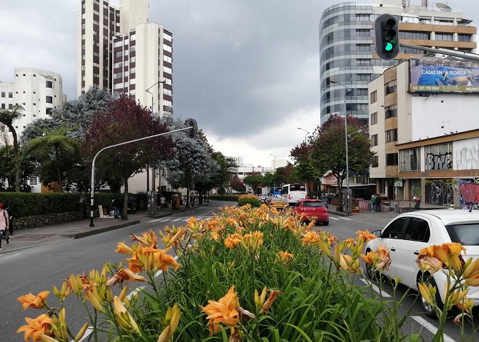 Manizales photo