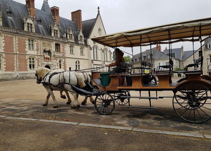 Blois photo