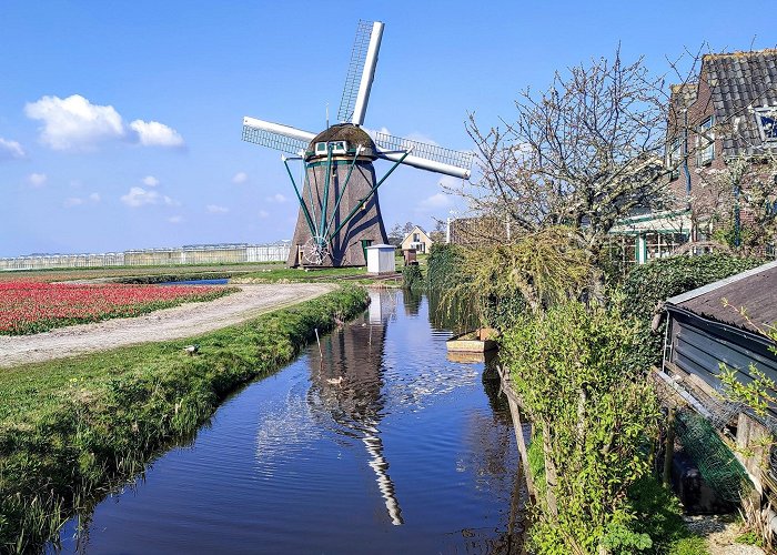 Noordwijkerhout photo