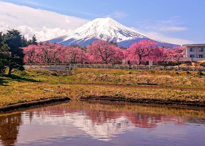 Fujiyoshida photo