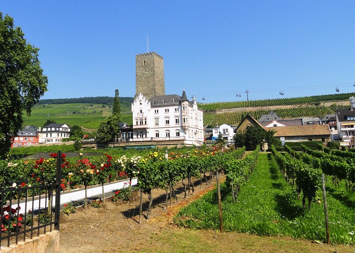 Ruedesheim am Rhein photo