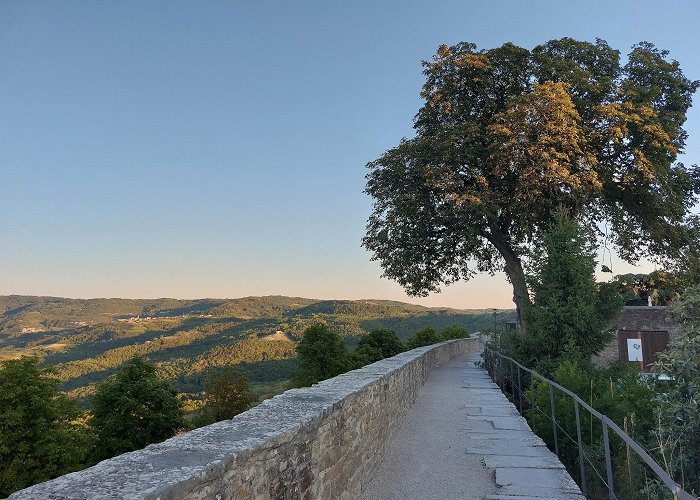 Motovun photo