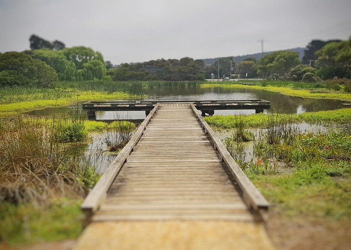 Aireys Inlet photo