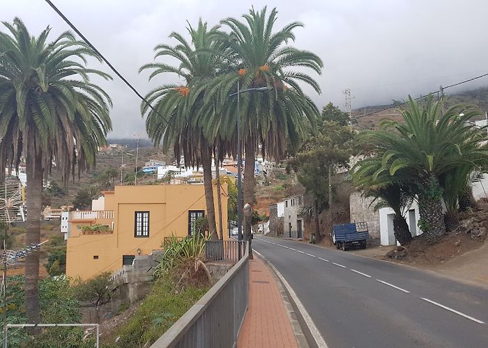 Santa Ursula (Tenerife) photo