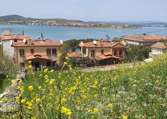 Ayvalik photo